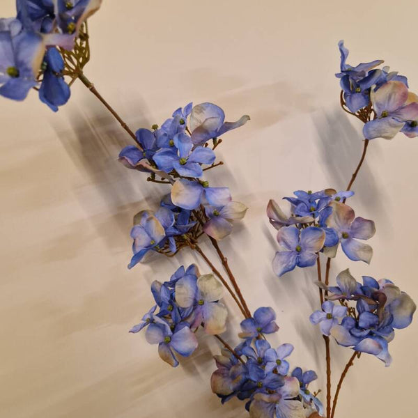 Zijdenbloem hortensia blauw of beige