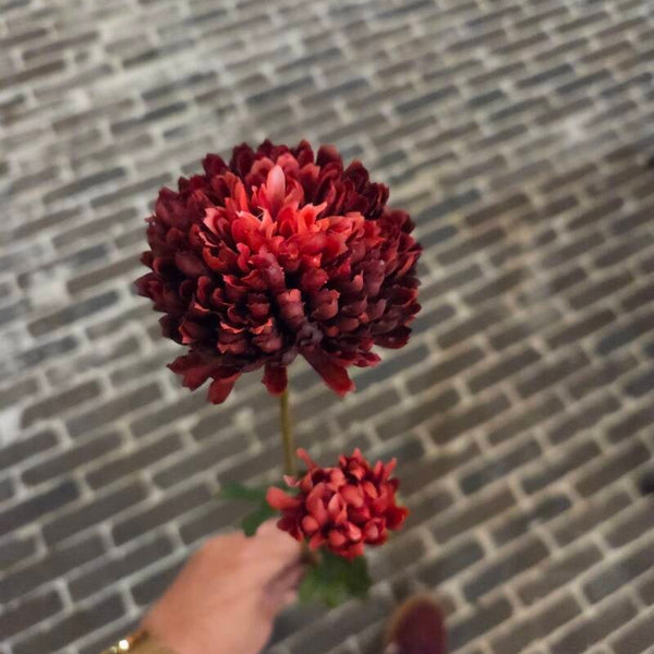 Zijdenbloem mini chrysant