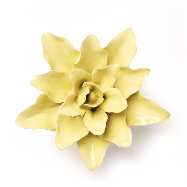 Bloem keramiek yellow tiger