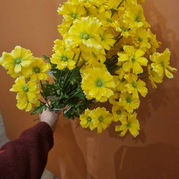 Zijdenbloem gele