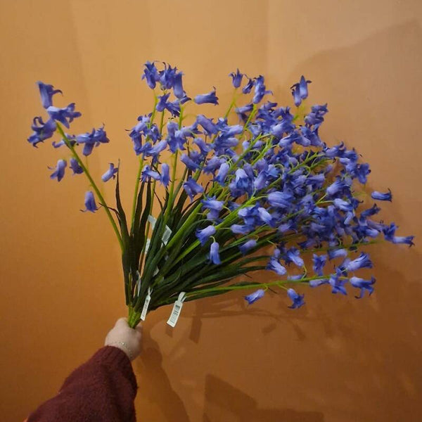 Zijdenbloem blue bell