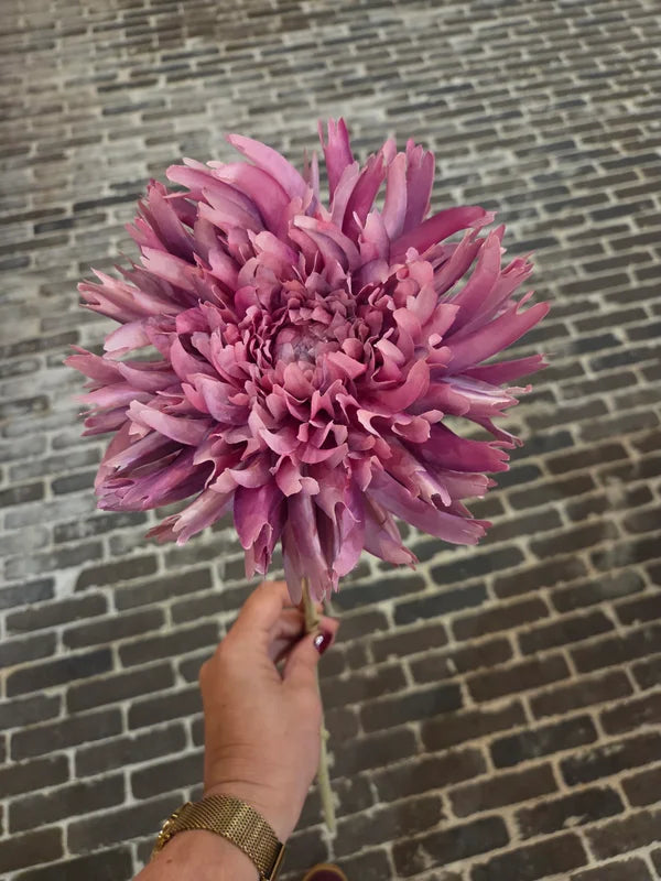 Zijdenbloemen boeket real touch bij Cozy Mssls.