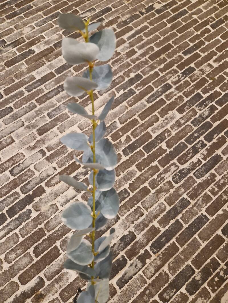 Zijdenbloem eucalyptus grijs