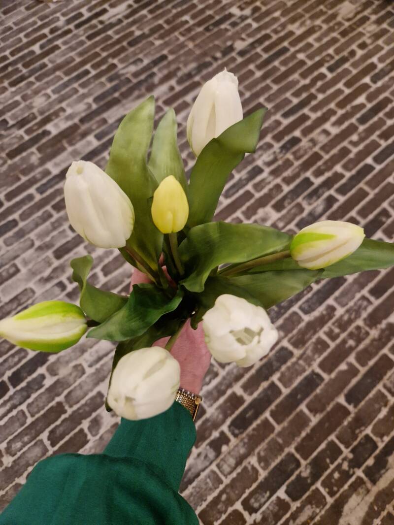 Bosje witte