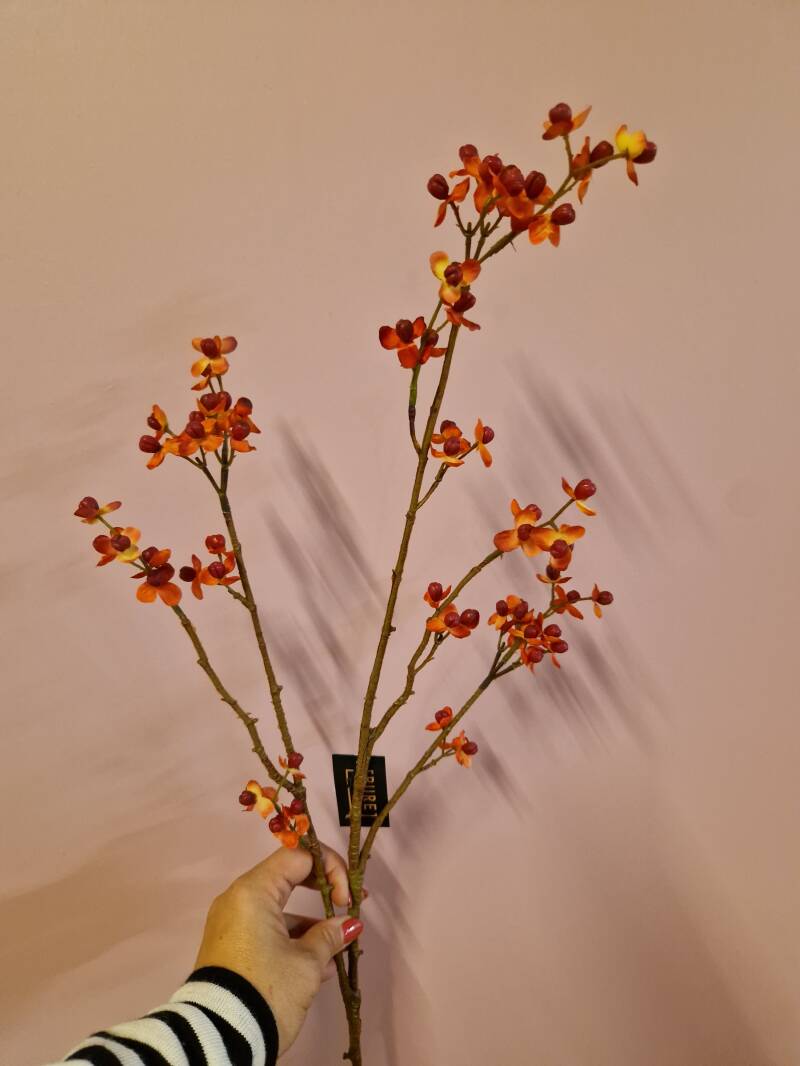 Zijdenbloem bitter