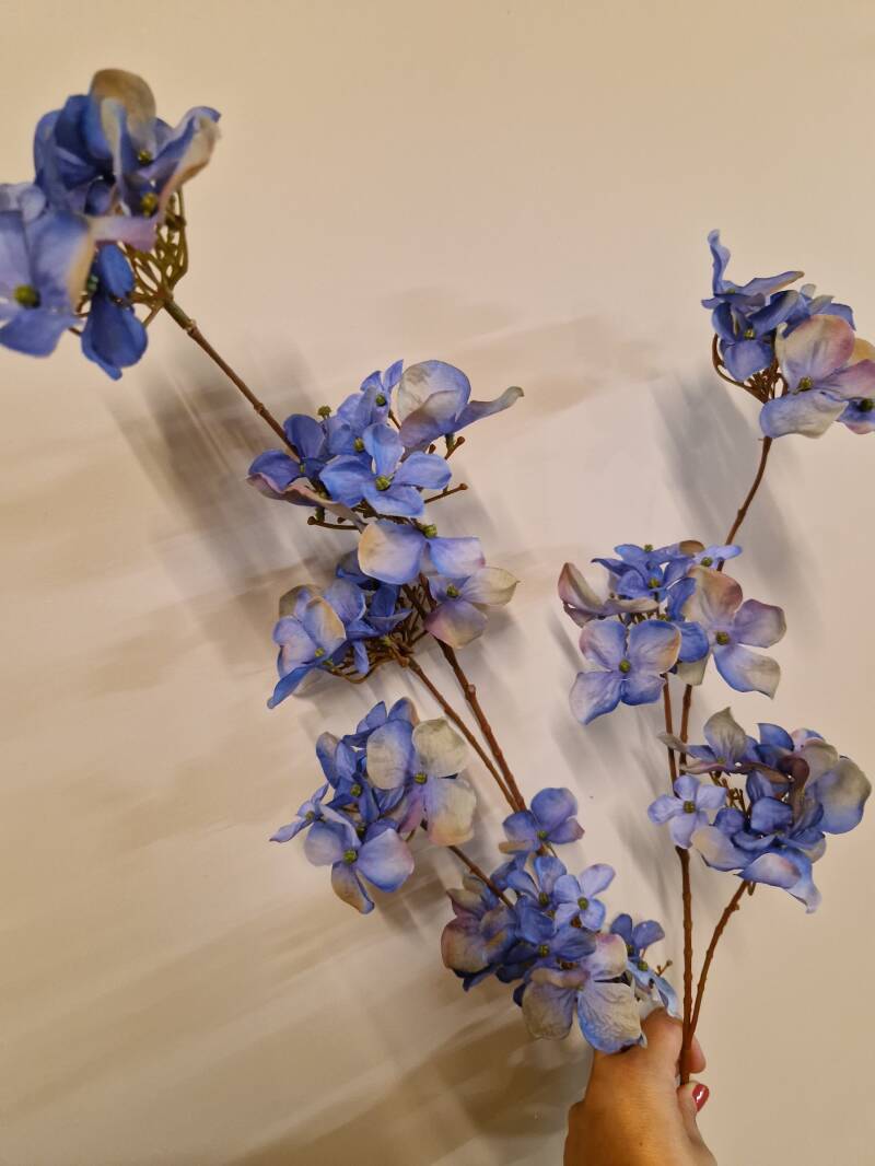 Zijdenbloem hortensia blauw of beige