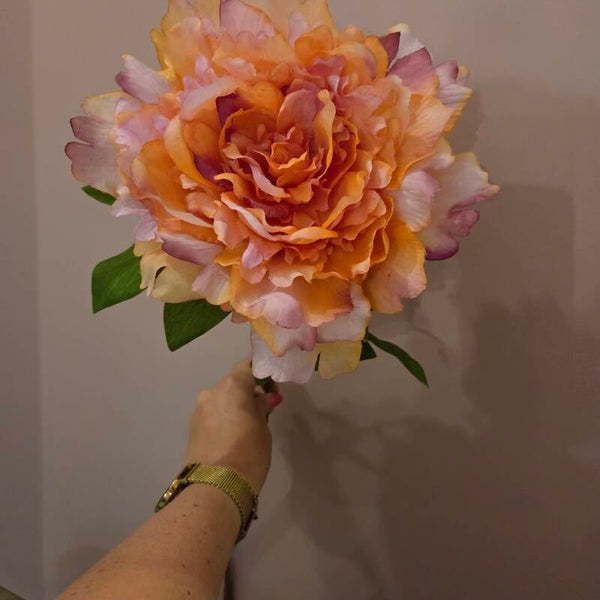 Zijdenbloem peony