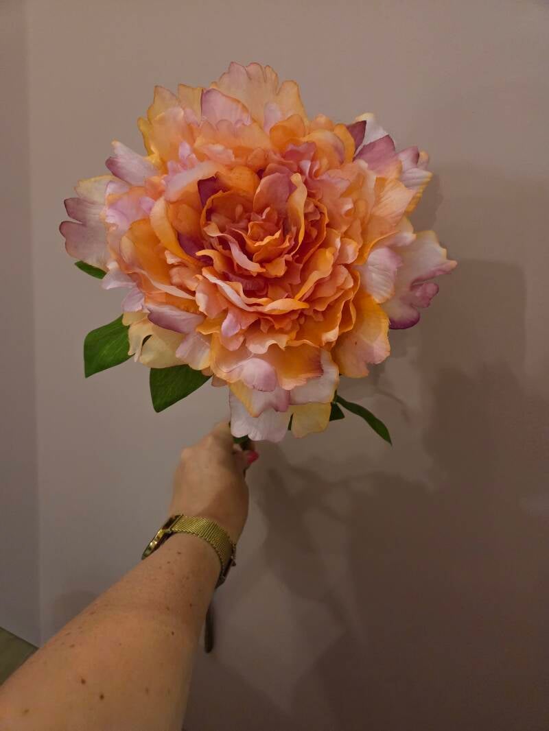 Zijdenbloem peony