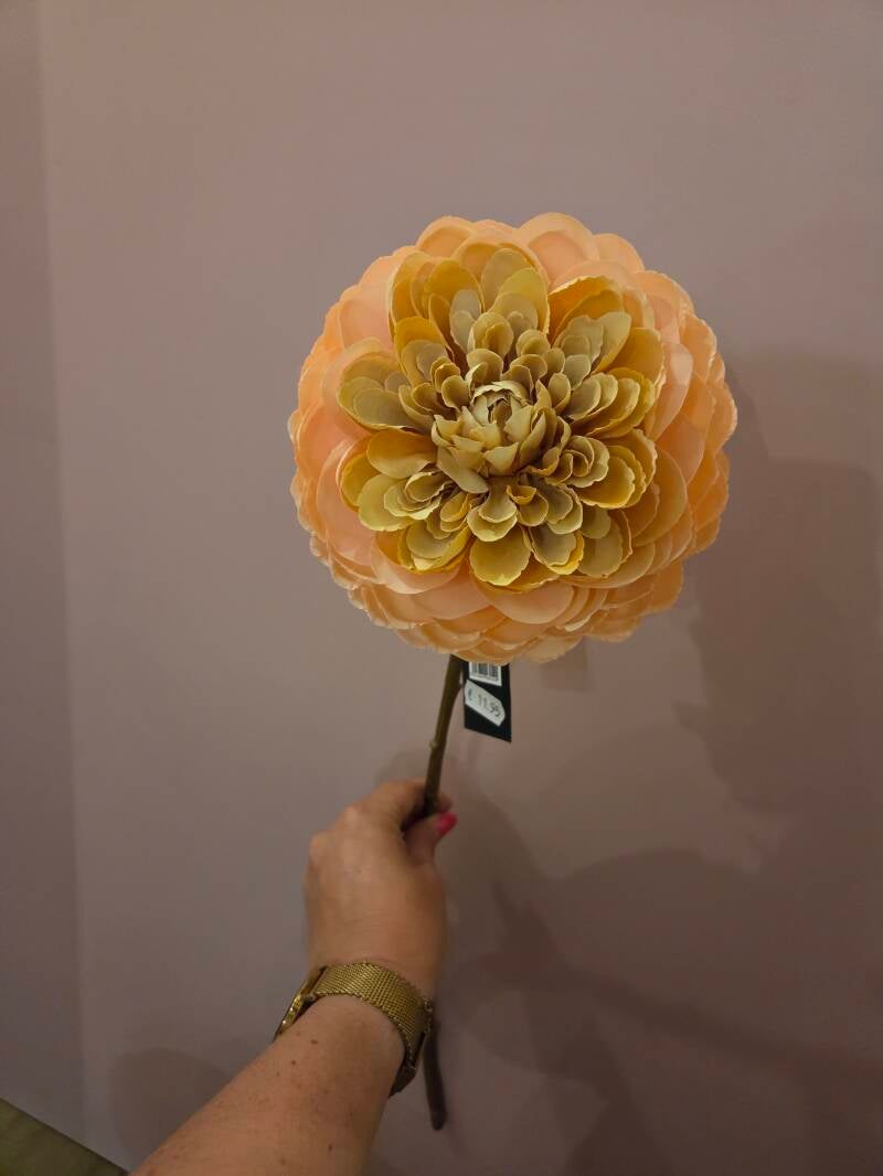 Zijdenbloem dahlia