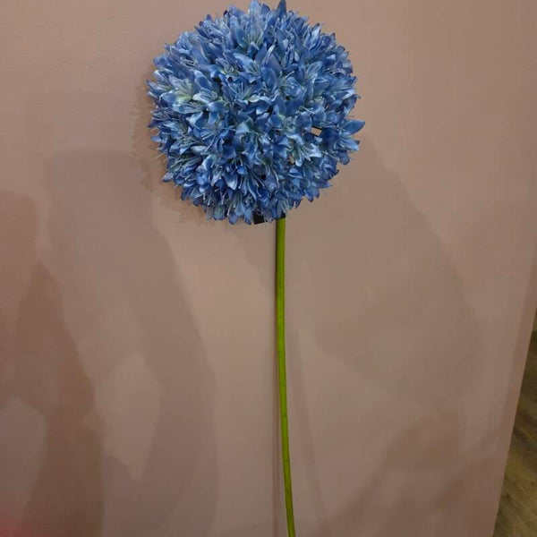 Zijdenbloem allium licht