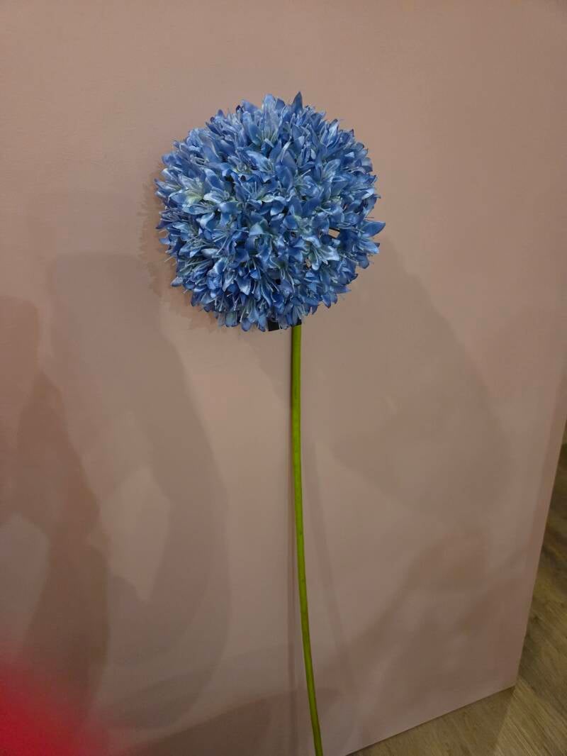 Zijdenbloem allium licht
