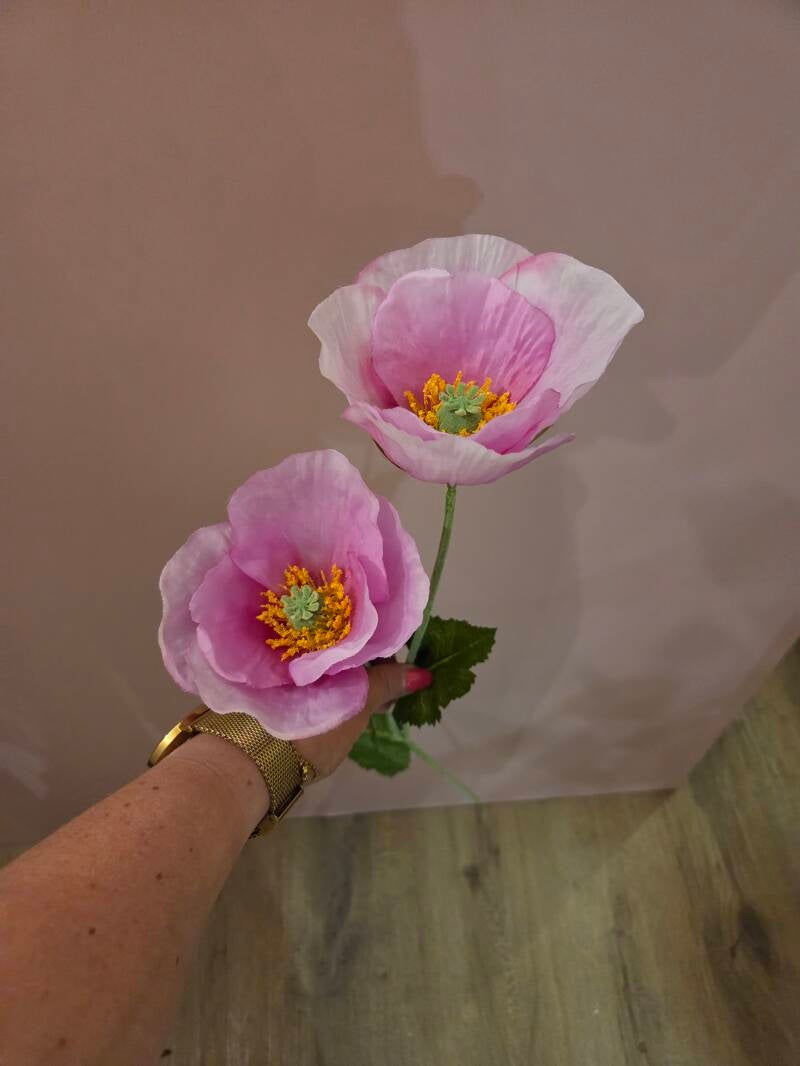 Zijdenbloem papaver