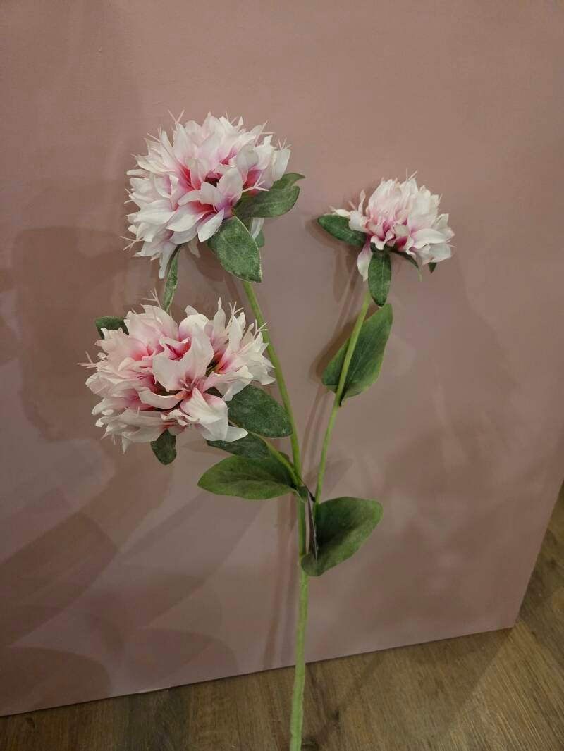 Zijdenbloem monarda