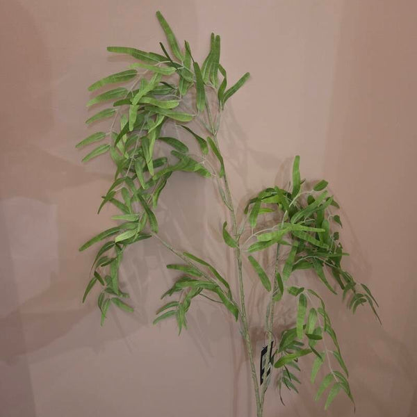 Zijdenbloem groen