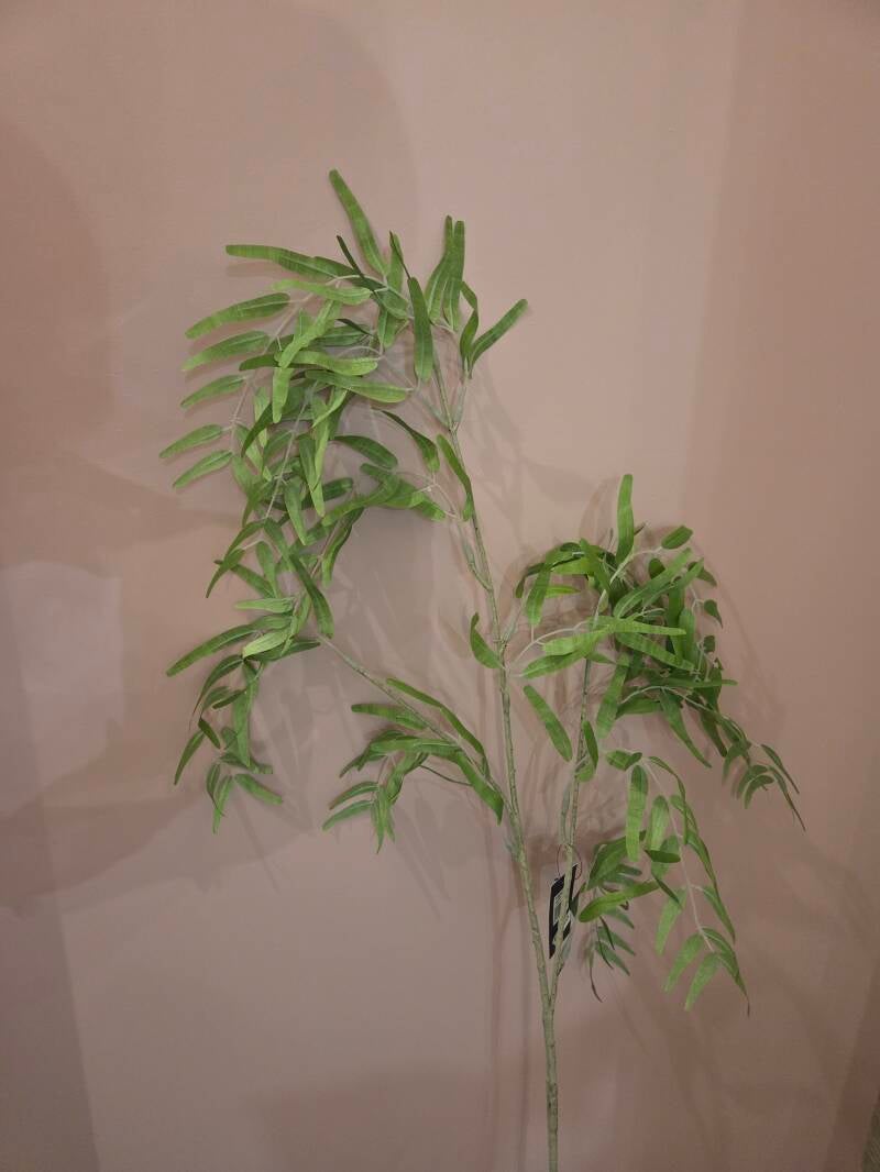 Zijdenbloem groen