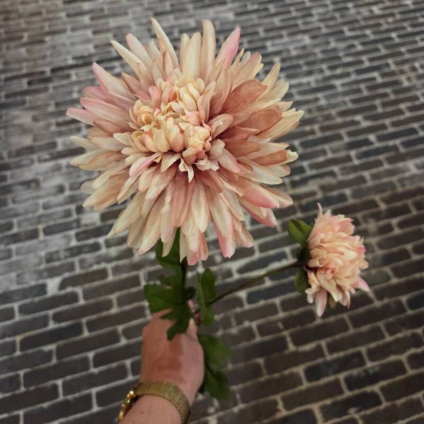 Zijdenbloem chrysant