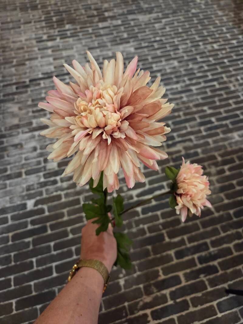 Zijdenbloem chrysant