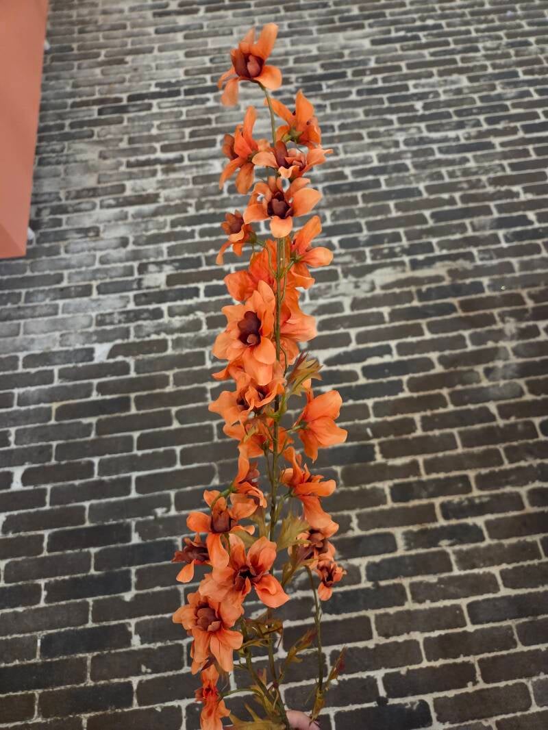 Zijdenbloem delphinium