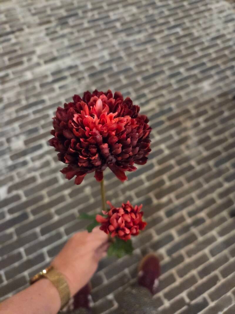 Zijdenbloem mini chrysant