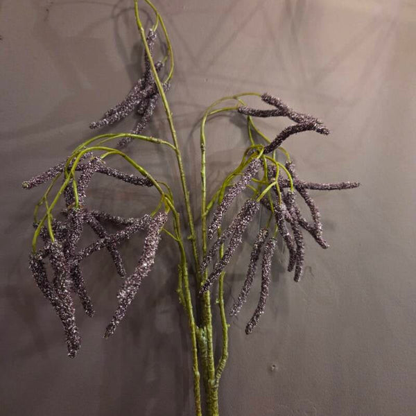 Zijdenbloem alderfruit