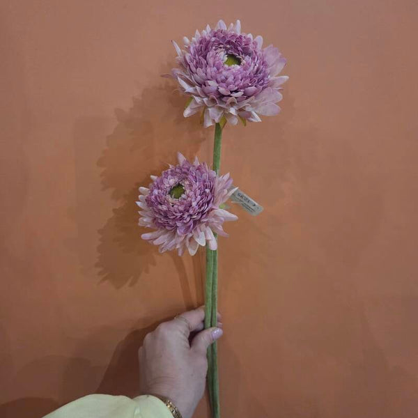 Zijdenbloem