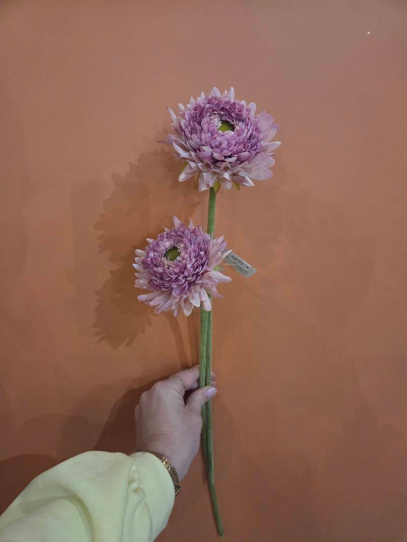 Zijdenbloem