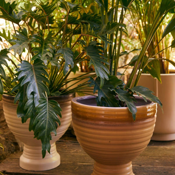 HKliving stoneware plantenpot