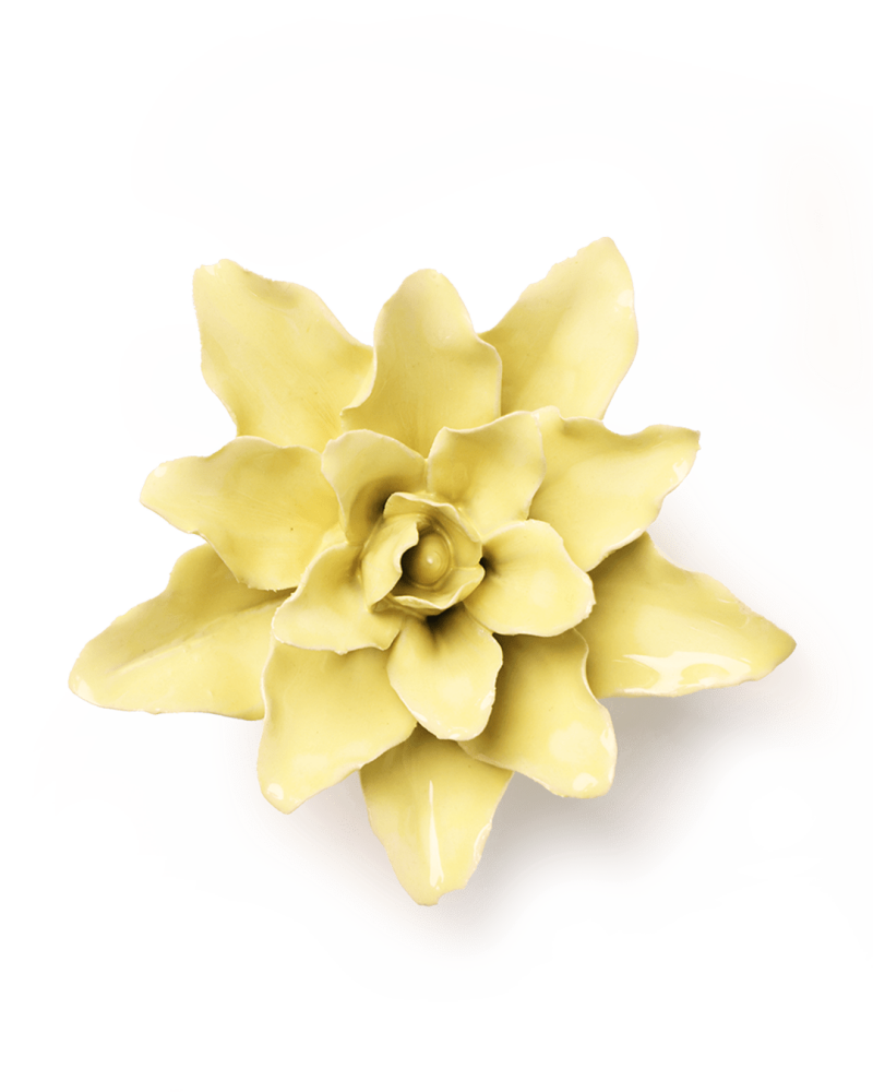 Bloem keramiek yellow tiger