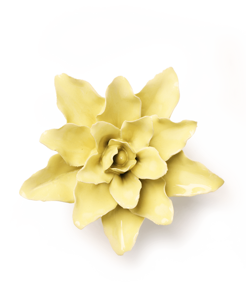 Bloem keramiek yellow tiger