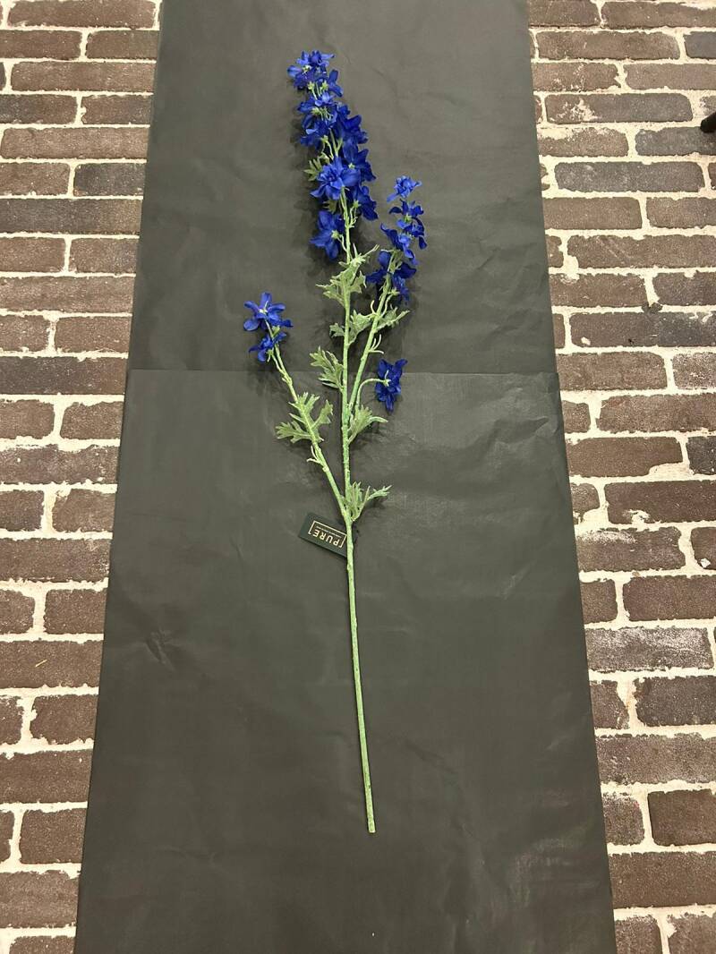 Zijdenbloem delphinium donker