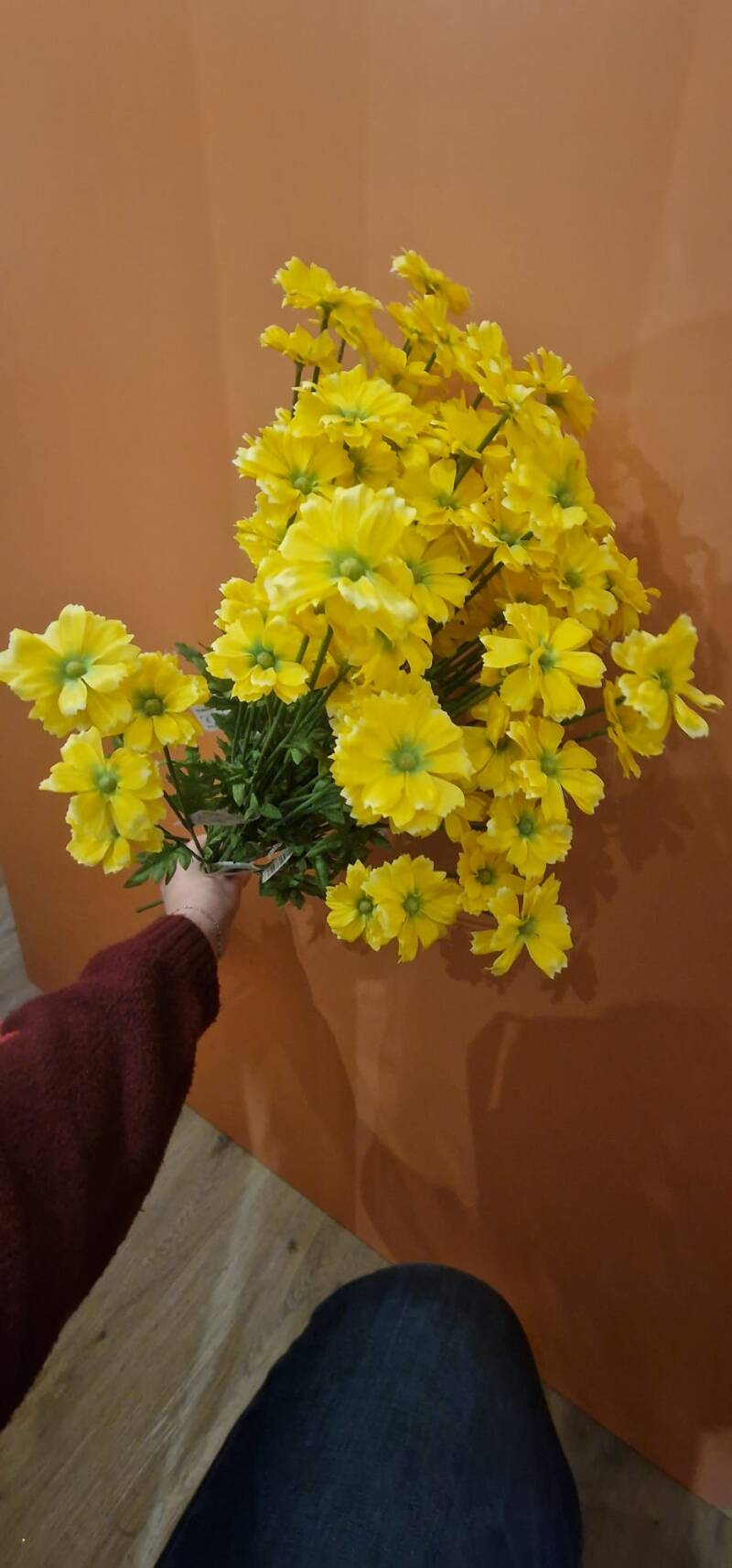 Zijdenbloem gele