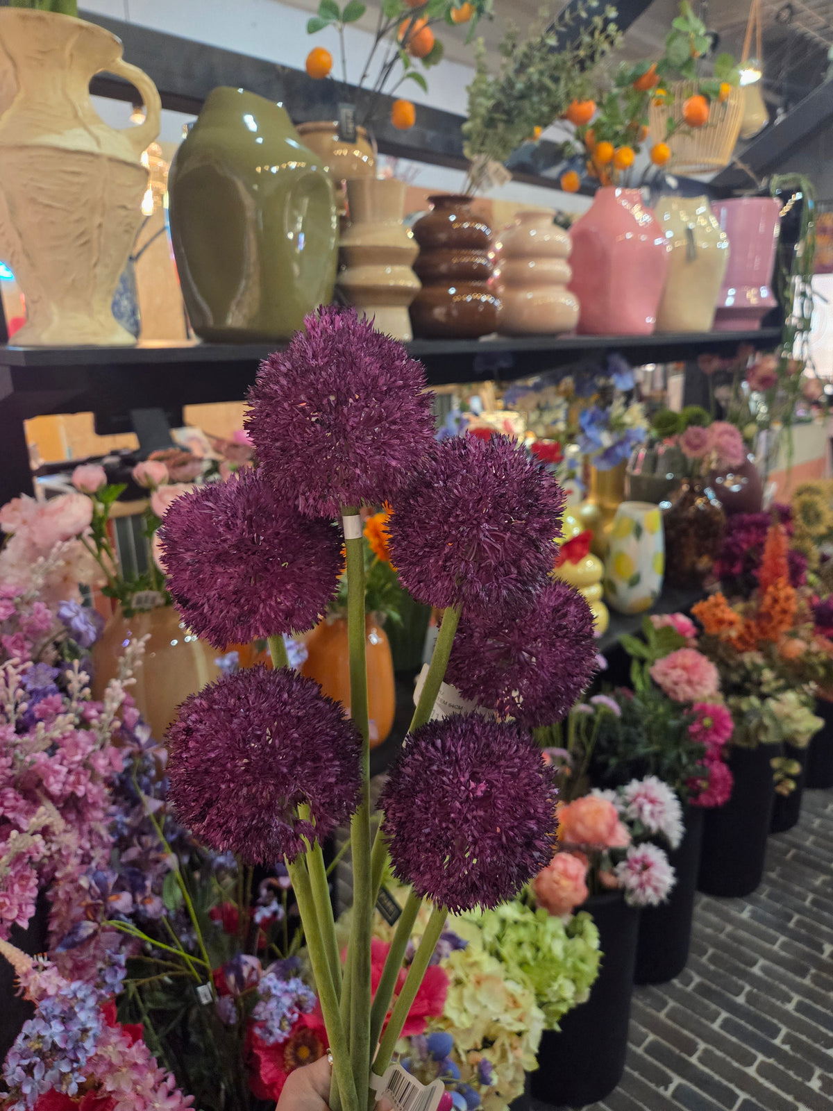 Zijdenbloem allium